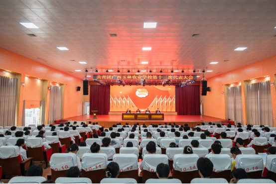 1711325654887939.png image.png