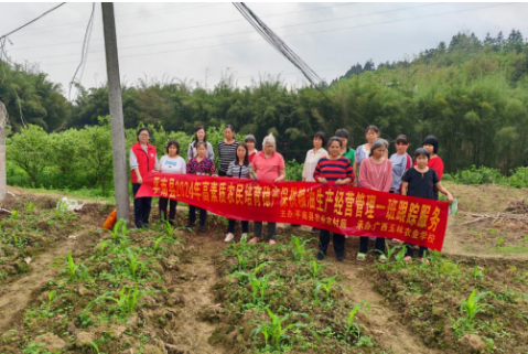 1716974206330198.png 47d17d4b72df7045afdcbd834648570a.png