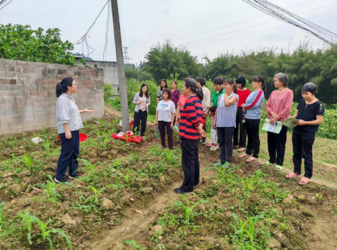 1716974221347354.png e7632dd5aa252d600318ecea1e3e34e4.png