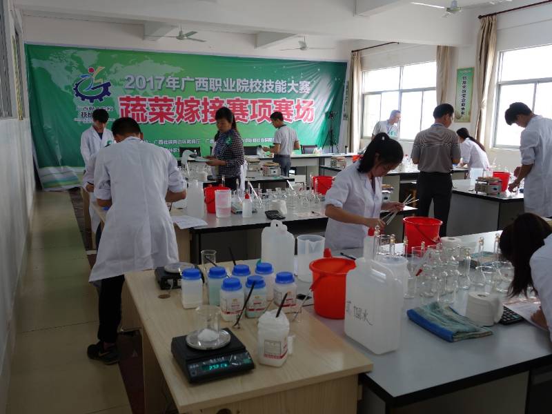 1493824751219960.jpg 999000.jpg