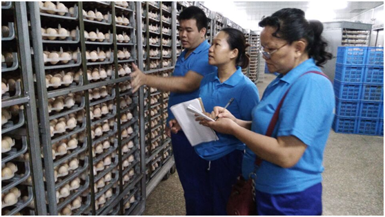 1503539153649041.png blob.png