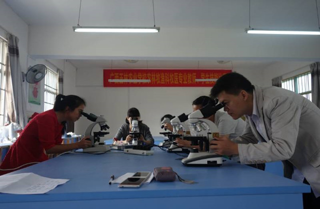 1492909738701885.jpg 29.jpg