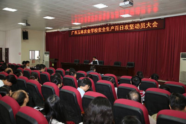 1492909161687049.jpg 20.jpg