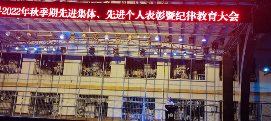 1681721381224342.png image.png