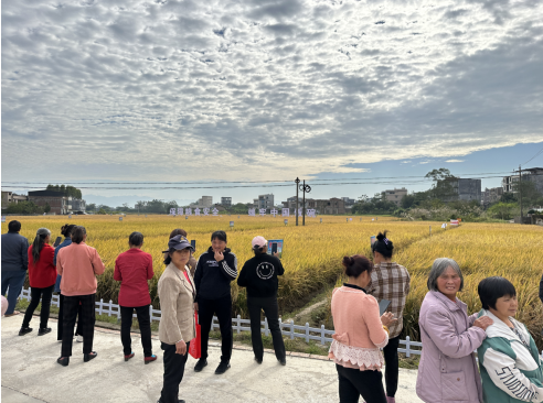 1700701327619971.png UG)C)~AOTJTCVZ881C(3VY5.png