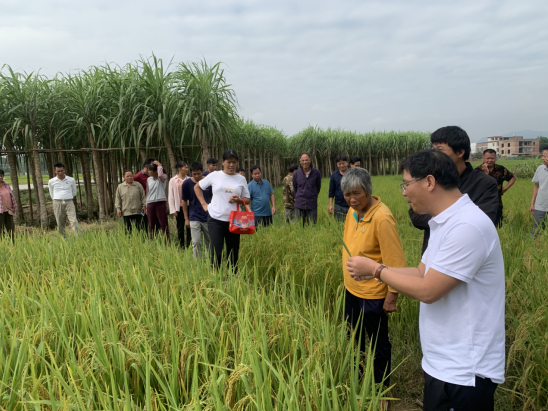 1698657397377906.png 76SR7F{(R_N$S`)7C1J94GY.png