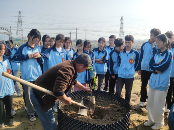 1710242433325747.png image.png