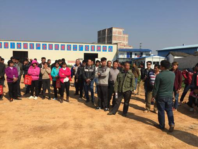 1492913061605588.jpg 71.jpg