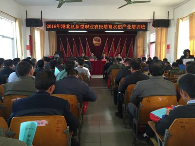 1492912990424279.jpg 66.jpg