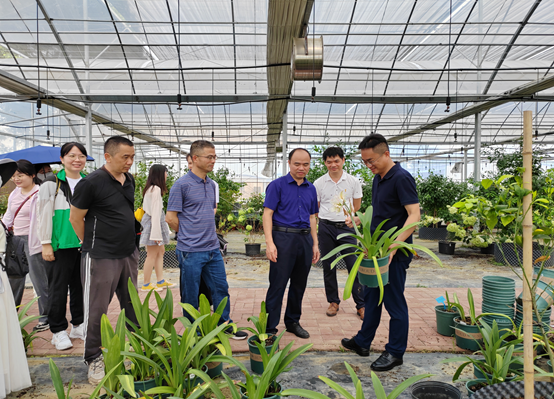 1689819741697316.png image.png