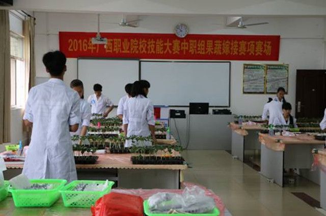 1492056938144731.jpg 40.jpg