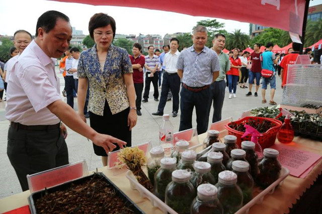 1492867141604146.jpg 23.jpg