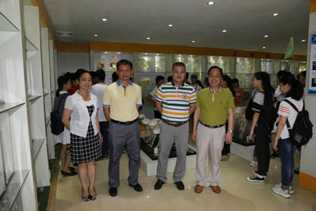 1492867427135473.jpg 28.jpg