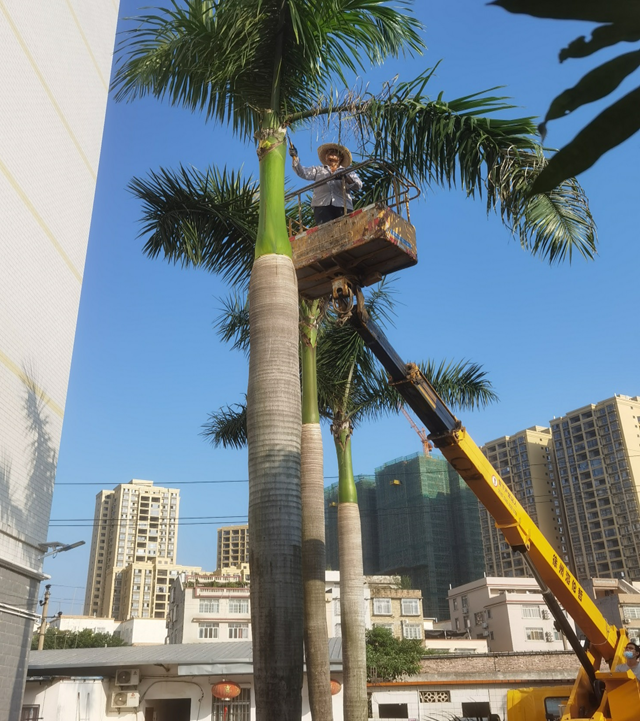 1666862829952731.png image.png