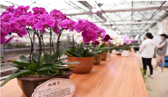 1666854978977674.png image.png