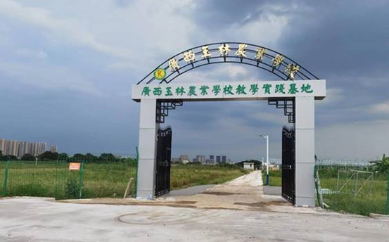 1666855053266865.png image.png