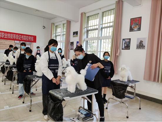 1641257229787716.png image.png