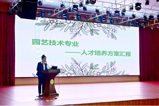 1732243257310619.png image.png