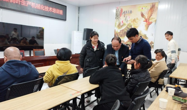 1737511521519922.png 1737511521519922.png