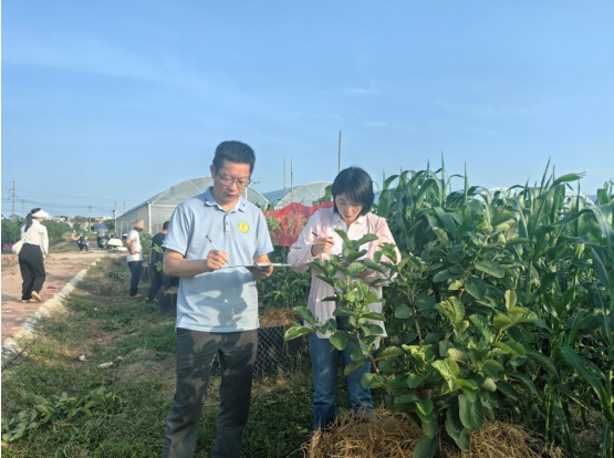 1699574387783321.png image.png