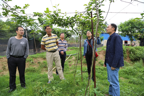 1586331617426057.png image.png