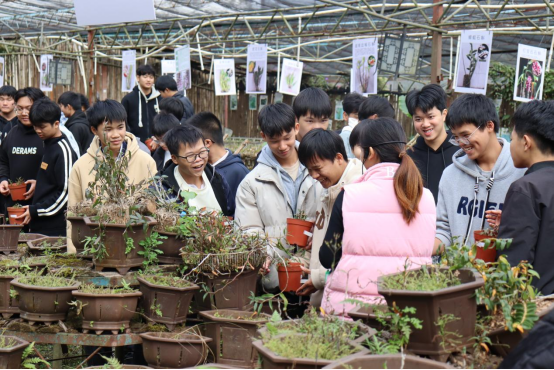 1734442213201275.png image.png