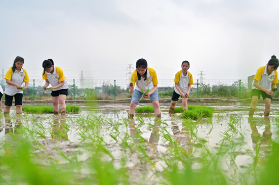 1679392332249302.png image.png