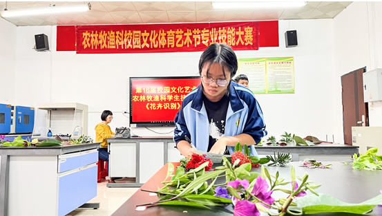 1669001368819510.png image.png