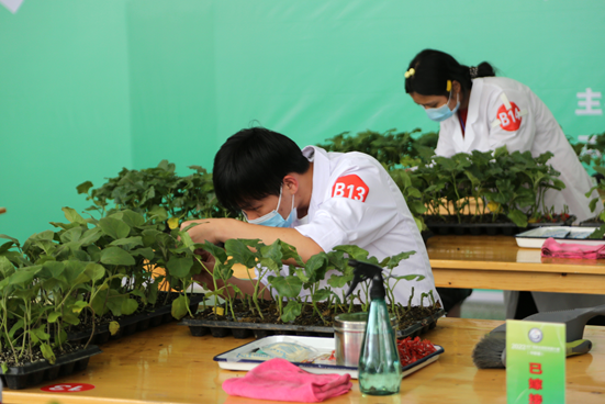 1650600042949850.png image.png