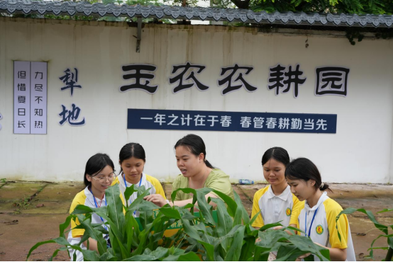 1715732969479858.png image.png