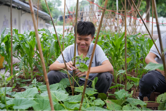 1715733040151713.png image.png