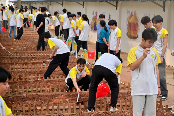 1712105744634595.png image.png