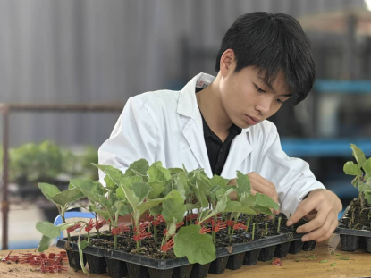 1712740508127474.png image.png