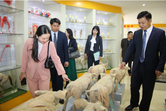 1733103349888967.png image.png