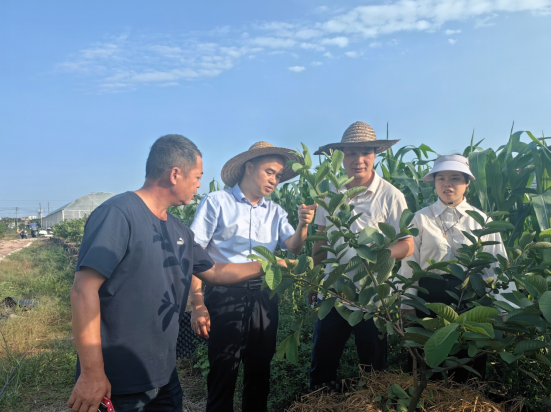 1699574352165861.png image.png