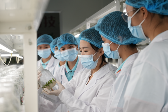 1737176289653126.png image.png