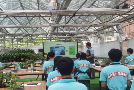 1737174348314518.png image.png