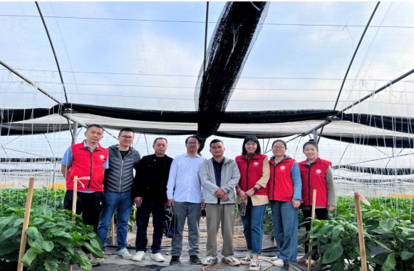 1737175028335303.png image.png