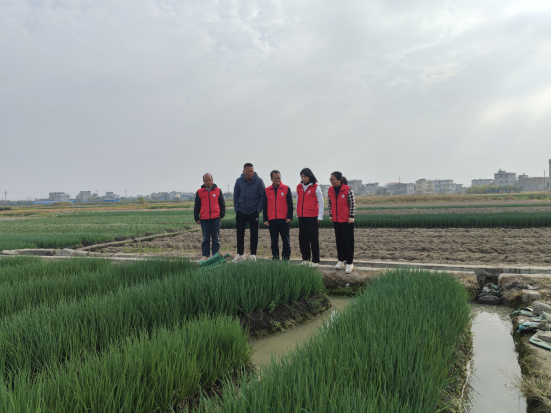 1737175373908503.png image.png