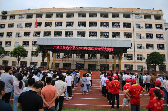 1699325465963732.png image.png