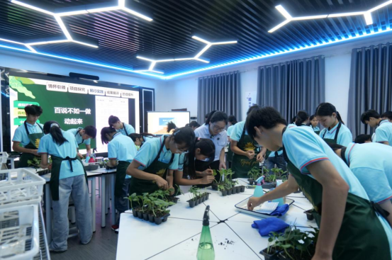 1737176257788671.png image.png