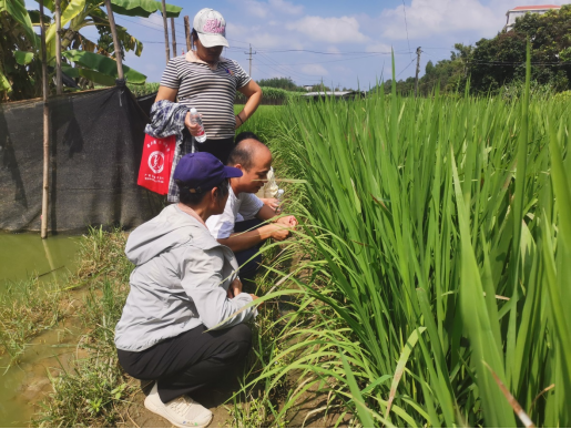 1695627934935667.png 1695627934935667.png