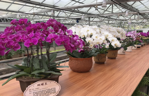 1737175605194305.png image.png