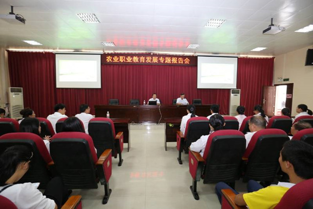 1492874364839132.jpg 116.jpg