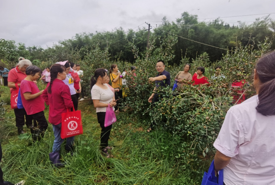 1695091379438376.png 1695091379438376.png