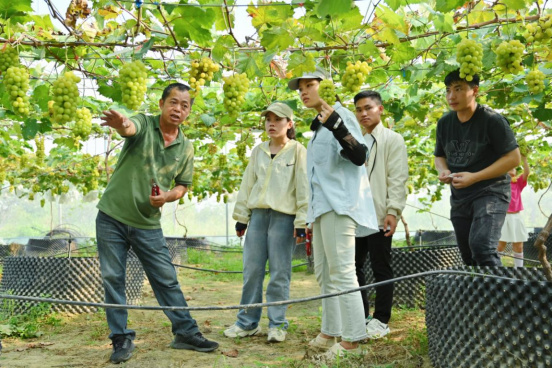 1720793936745307.png image.png