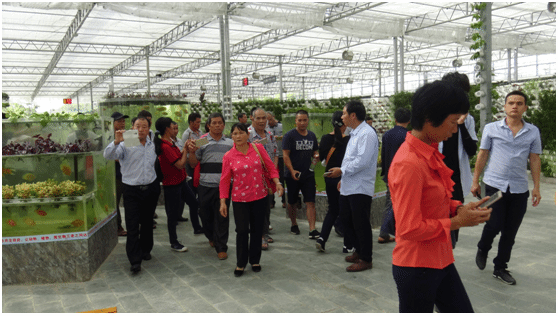 1498523889879199.png blob.png