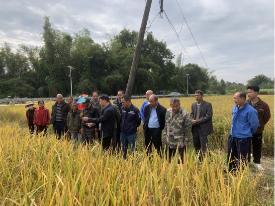 1700699918910412.png ~HB2R6[)3QG4B%`%S0IWTXN.png