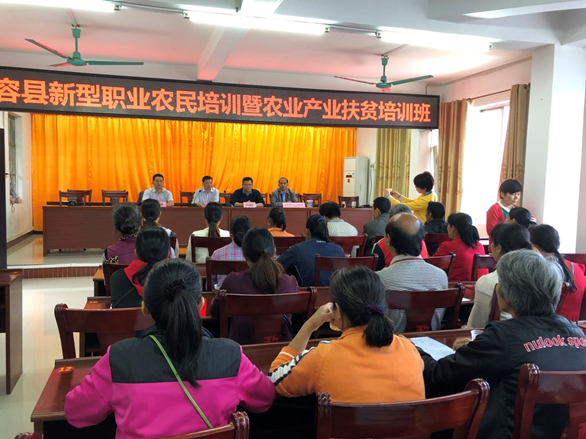 1586315519110978.png image.png