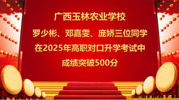 1744682198990624.png image.png